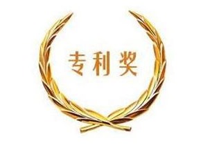 四川省專利獎