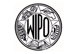 專利信息檢索分析報告