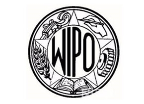 專(zhuān)利信息檢索分析報(bào)告