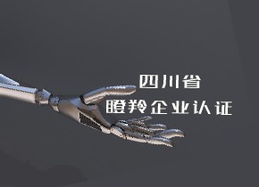 四川省科學技術廳關于開展第二批四川省瞪羚企業(yè)申報備案工作的通知
